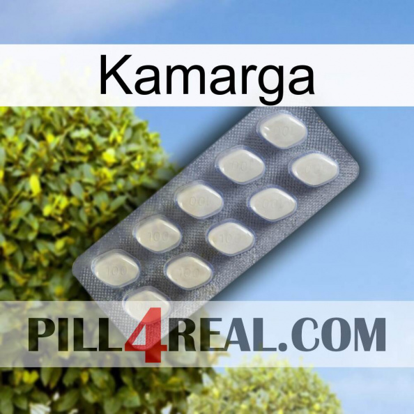 Kamarga 08.jpg